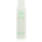 Annayake CleanSkin Lotion Premier Soin Anti-Âge crema de fata cu efect de intinerire