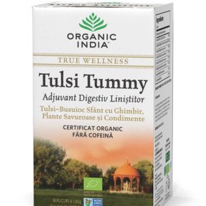ORGANIC INDIA Ceai Digestiv Tulsi (Busuioc Sfant) Tummy cu Ghimbir, Plante Savuroase si Condimente