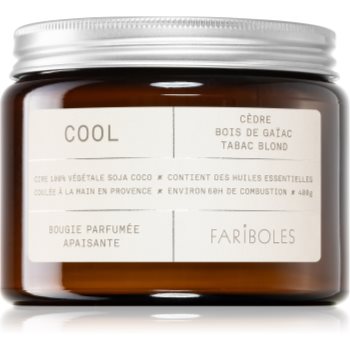 FARIBOLES Green Cool lumânare parfumată
