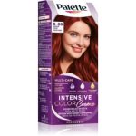 Schwarzkopf Palette Intensive Color Creme Culoare permanenta pentru par
