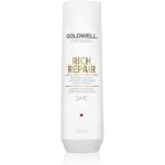 Goldwell Dualsenses Rich Repair șampon regenerator pentru păr uscat și deteriorat