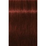 Schwarzkopf Professional IGORA Royal Absolutes culoare par