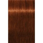 Schwarzkopf Professional IGORA Royal Absolutes culoare par