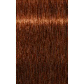 Schwarzkopf Professional IGORA Royal Absolutes culoare par
