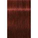 Schwarzkopf Professional IGORA Royal Absolutes culoare par