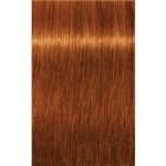 Schwarzkopf Professional IGORA Royal Absolutes culoare par