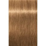 Schwarzkopf Professional IGORA Royal Absolutes culoare par