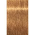 Schwarzkopf Professional IGORA Royal Absolutes culoare par