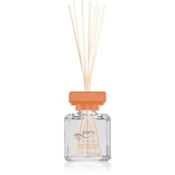 ipuro Limited Edition Fruity Lisboa difuzor de aroma
