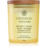 Chesapeake Bay Candle Mind & Body Strength & Energy lumânare parfumată