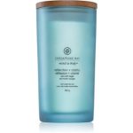 Chesapeake Bay Candle Mind & Body Reflection & Clarity lumânare parfumată