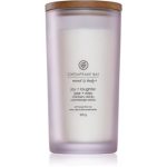 Chesapeake Bay Candle Mind & Body Joy & Laughter lumânare parfumată