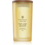 Chesapeake Bay Candle Mind & Body Strength & Energy lumânare parfumată