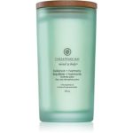 Chesapeake Bay Candle Mind & Body Balance & Harmony lumânare parfumată