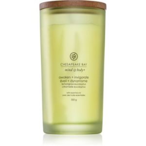 Chesapeake Bay Candle Mind & Body Awaken & Invigorate lumânare parfumată