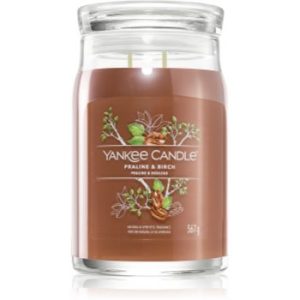 Yankee Candle Praline & Birch lumânare parfumată