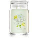 Yankee Candle Midnight Jasmine lumânare parfumată I. Signature
