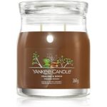 Yankee Candle Praline & Birch lumânare parfumată