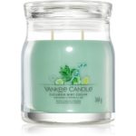Yankee Candle Cucumber Mint Cooler lumânare parfumată Signature