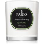 Parks London Aromatherapy Lily of the Valley lumânare parfumată