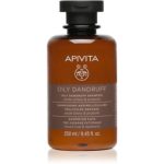 Apivita Holistic Hair Care White Willow & Propolis sampon anti-matreata pentru par gras
