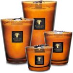 Baobab Collection Les Prestigieuses Cuir de Russie lumânare parfumată