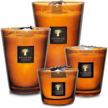 Baobab Collection Les Prestigieuses Cuir de Russie lumânare parfumată