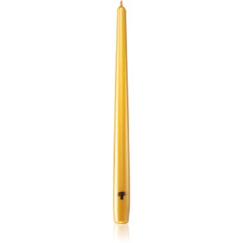 Baobab Collection Candela Gold lumanare