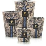Baobab Collection Sacred Trees Seguela lumânare parfumată
