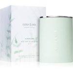 ester & erik scented candle wild mint & cut grass (no. 03) lumânare parfumată