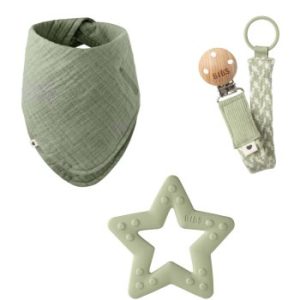 BIBS Baby Gift Set Small set cadou Sage 3+ months(pentru bebeluși)