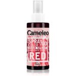 Delia Cosmetics Cameleo Spray & Go spray nuanțator de păr