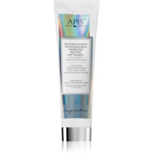 Apis Natural Cosmetics Inspiration masca purificatoare cu extract de namol cu minerale din Marea Moartă