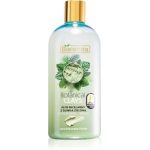 Bielenda Botanical Clays apă micelară detoxifiantă cu argila