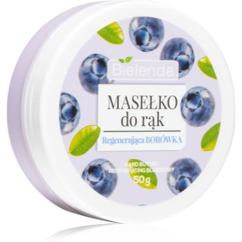 Bielenda Blueberry unt de maini
