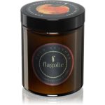 Flagolie Four Seasons Orange & Cinnamon lumânare parfumată