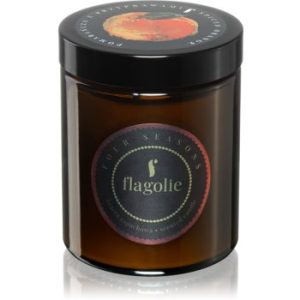 Flagolie Four Seasons Orange & Cinnamon lumânare parfumată