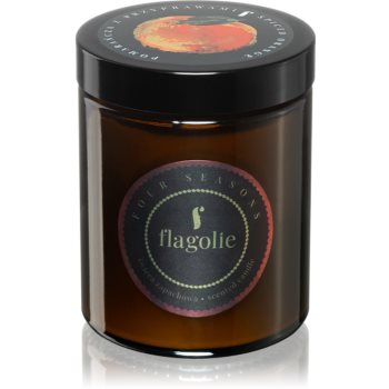 Flagolie Four Seasons Orange & Cinnamon lumânare parfumată