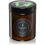 Flagolie Four Seasons Black Currant lumânare parfumată