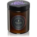 Flagolie Four Seasons Elderberry lumânare parfumată
