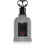 Zimaya Stallion Eau de Parfum pentru bărbați