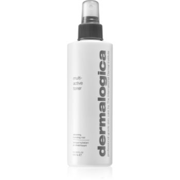 Dermalogica Daily Skin Health Set Daily Skin Health Spray tonifiant pentru hidratare