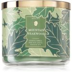 Bath & Body Works Mountain Teakwood lumânare parfumată