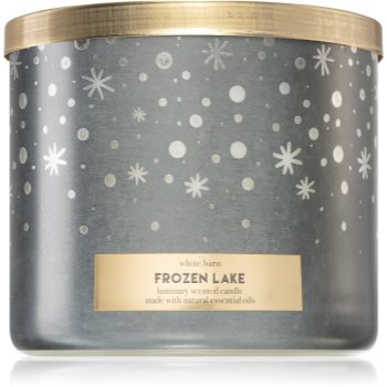 Bath & Body Works Frozen Lake lumânare parfumată