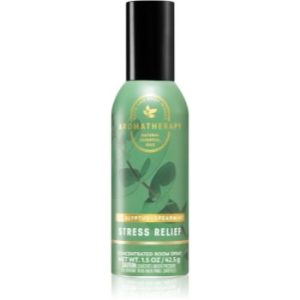 Bath & Body Works Eucalyptus Spearmint spray pentru camera I.