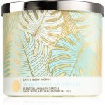 Bath & Body Works Warm Ocean lumânare parfumată