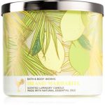 Bath & Body Works Island Margarita lumânare parfumată