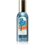 Bath & Body Works Sun-Washed Citrus spray pentru camera
