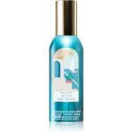 Bath & Body Works Ocean Driftwood spray pentru camera