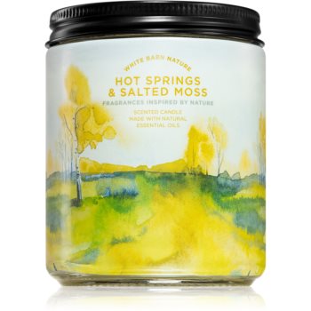 Bath & Body Works Hot Springs and Salted Moss lumânare parfumată